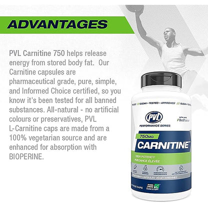 l carnitine pvl Carnitine